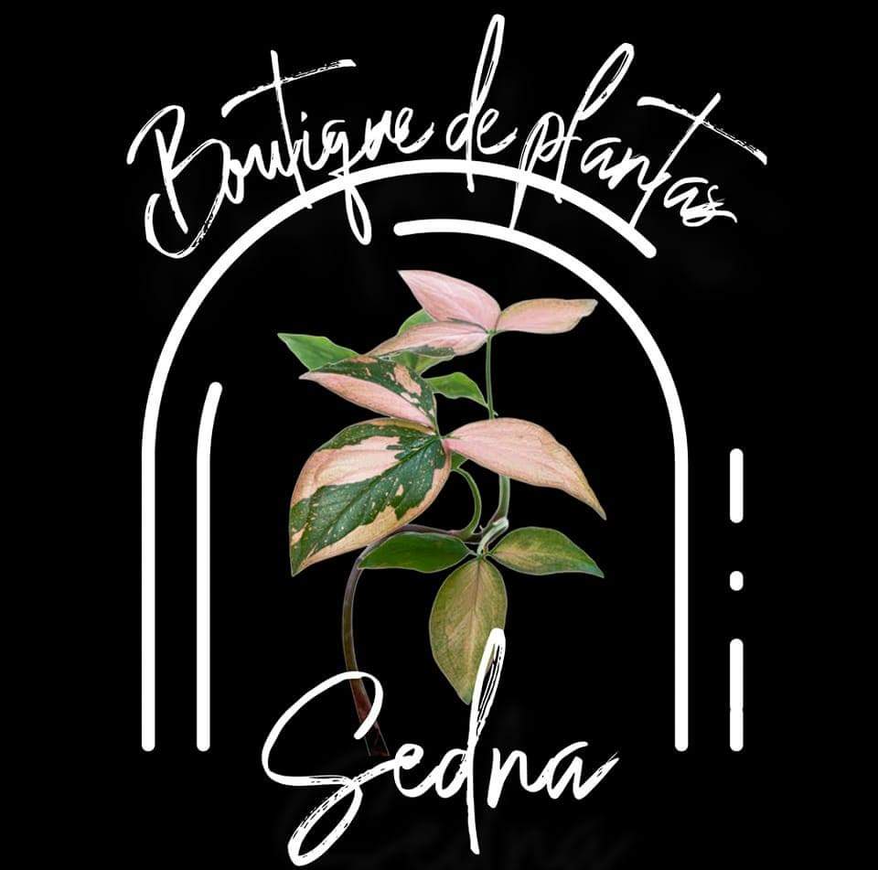 Sedna Boutique de Plantas Tijuana